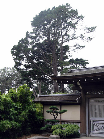 Golden Gate Park mit Botanischen Garten