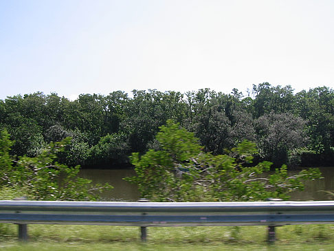 Foto Straßenrand auf Marco Island - Marco Island