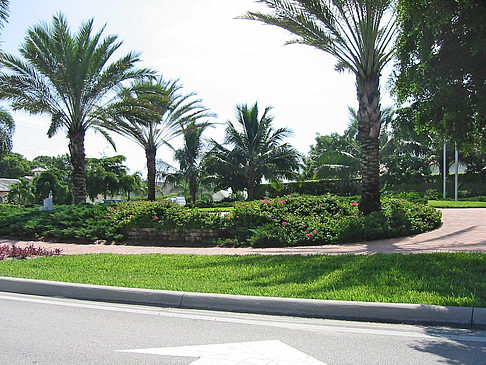 Straßenrand auf Marco Island