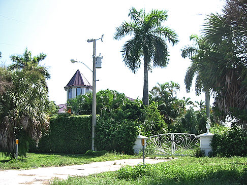 Fotos Straßenrand auf Marco Island