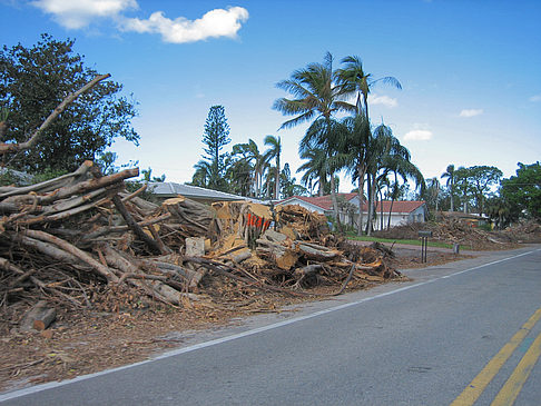 Foto Straßenrand