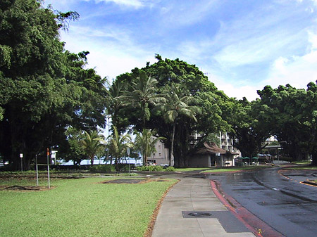Fotos Hawaiis Straßenränder | 