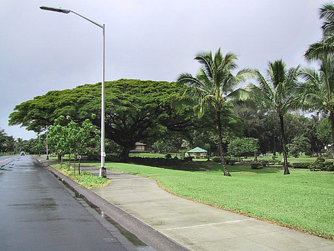 Foto Hawaiis Straßenränder