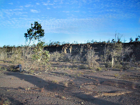 Foto Hawaiis Straßenränder