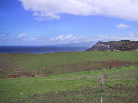 Foto Landschaft auf Maui - 