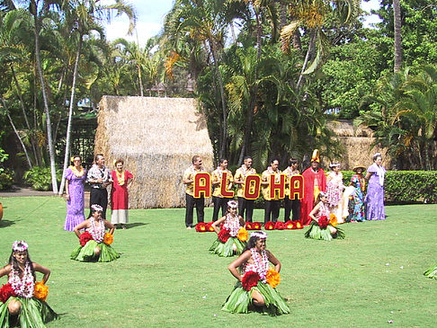 Foto Hula Show