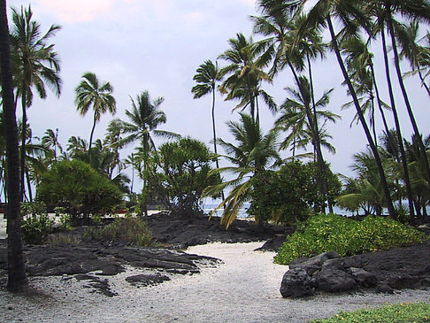 Foto Der Strand von Hawaii