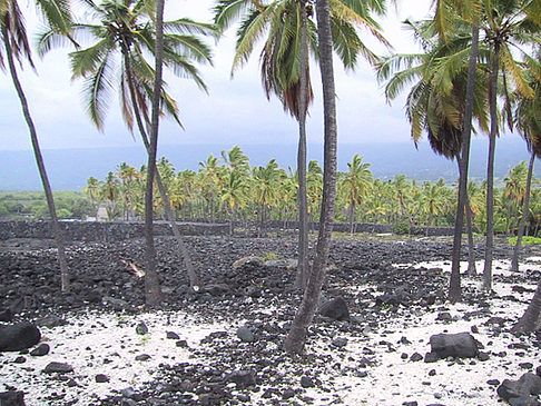 Fotos Der Strand von Hawaii