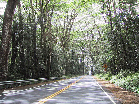 Fotos Straßen auf Hawaii | 