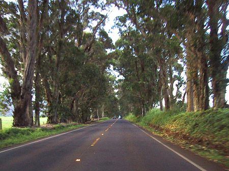 Fotos Straßen auf Kauai