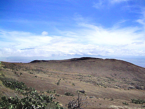 Trockene Landschaft