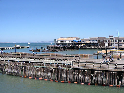 Fotos Fishermans Pier 39 bis 45 | San Francisco