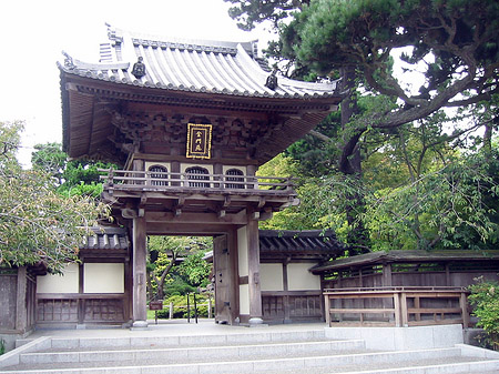 Golden Gate Park mit Botanischen Garten Foto 
