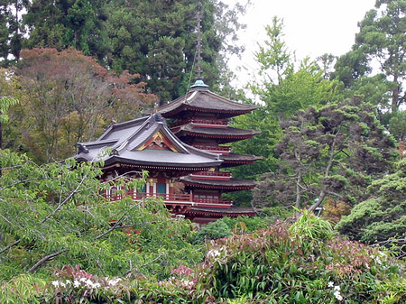 Golden Gate Park mit Botanischen Garten Fotos