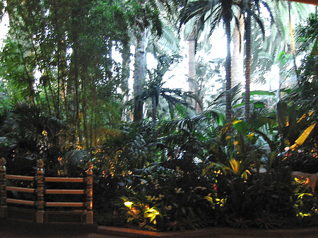 Foto Hotel Mirage